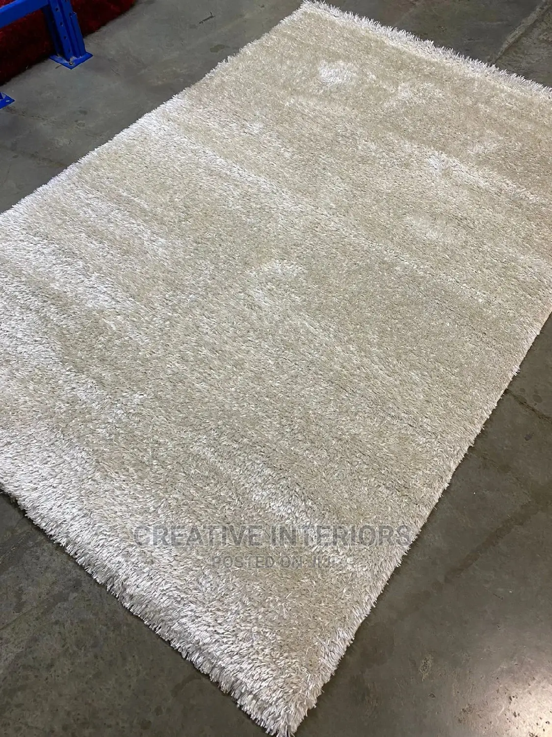 4by6 Plain Shaggy Center Rugs