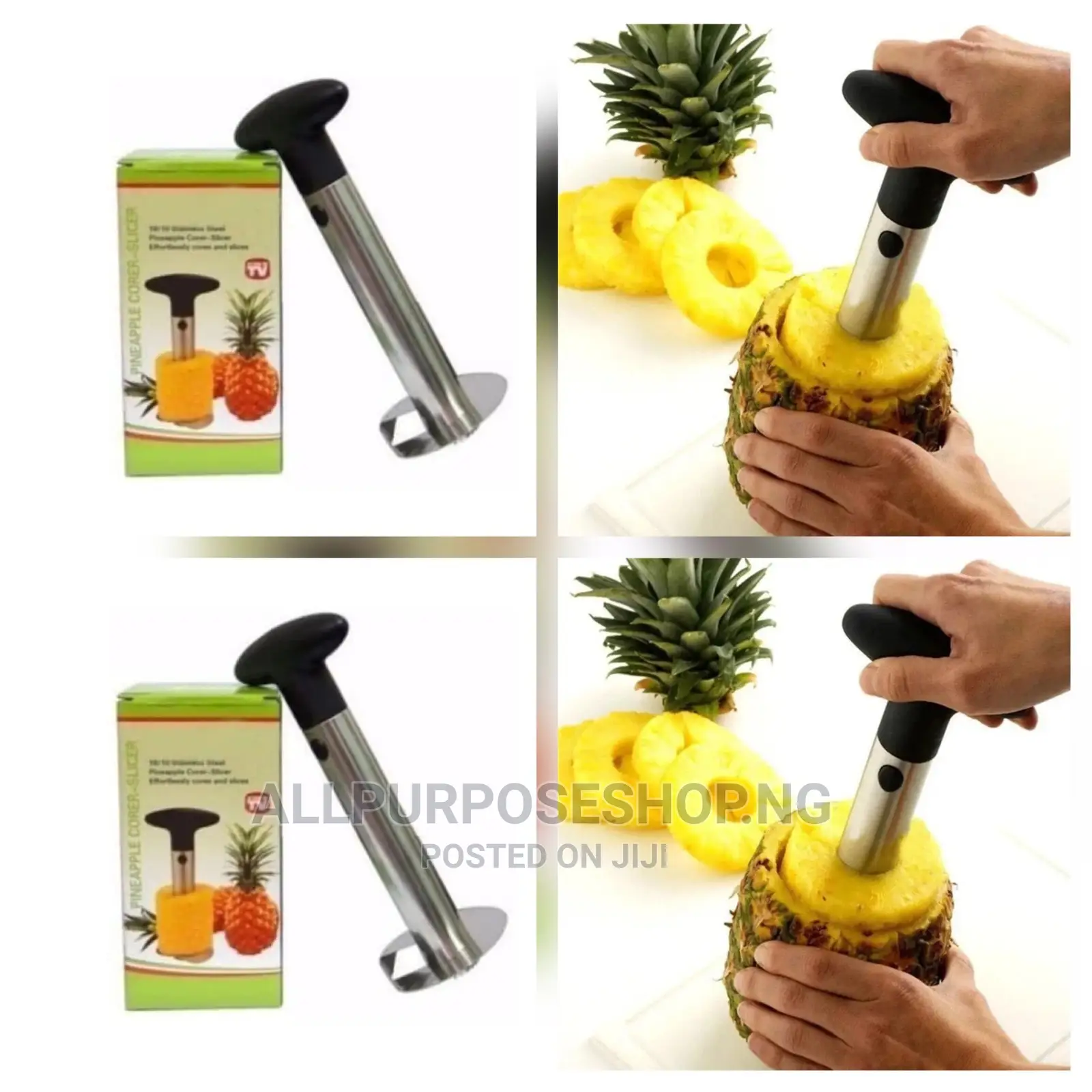 Pineapple Cutter
