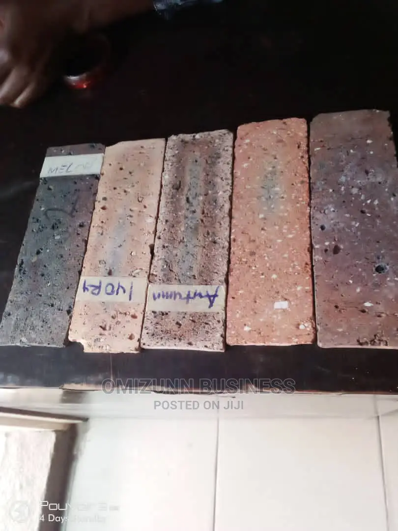 High Quality Original South African Bricks