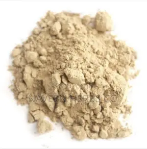 Nopal Cactus Powder - 100g