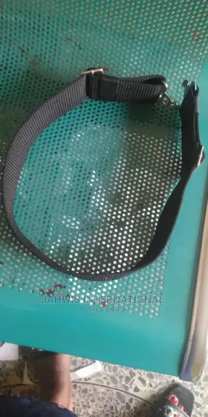 Security Belt
