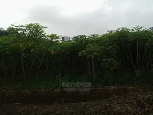 Outright Sale of Land