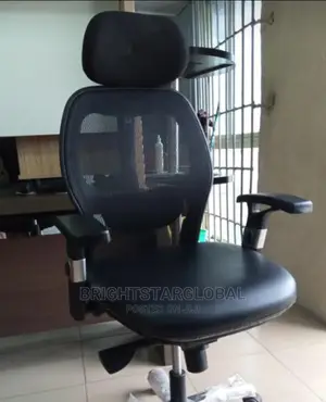 Executive Office Ergonomic Chair