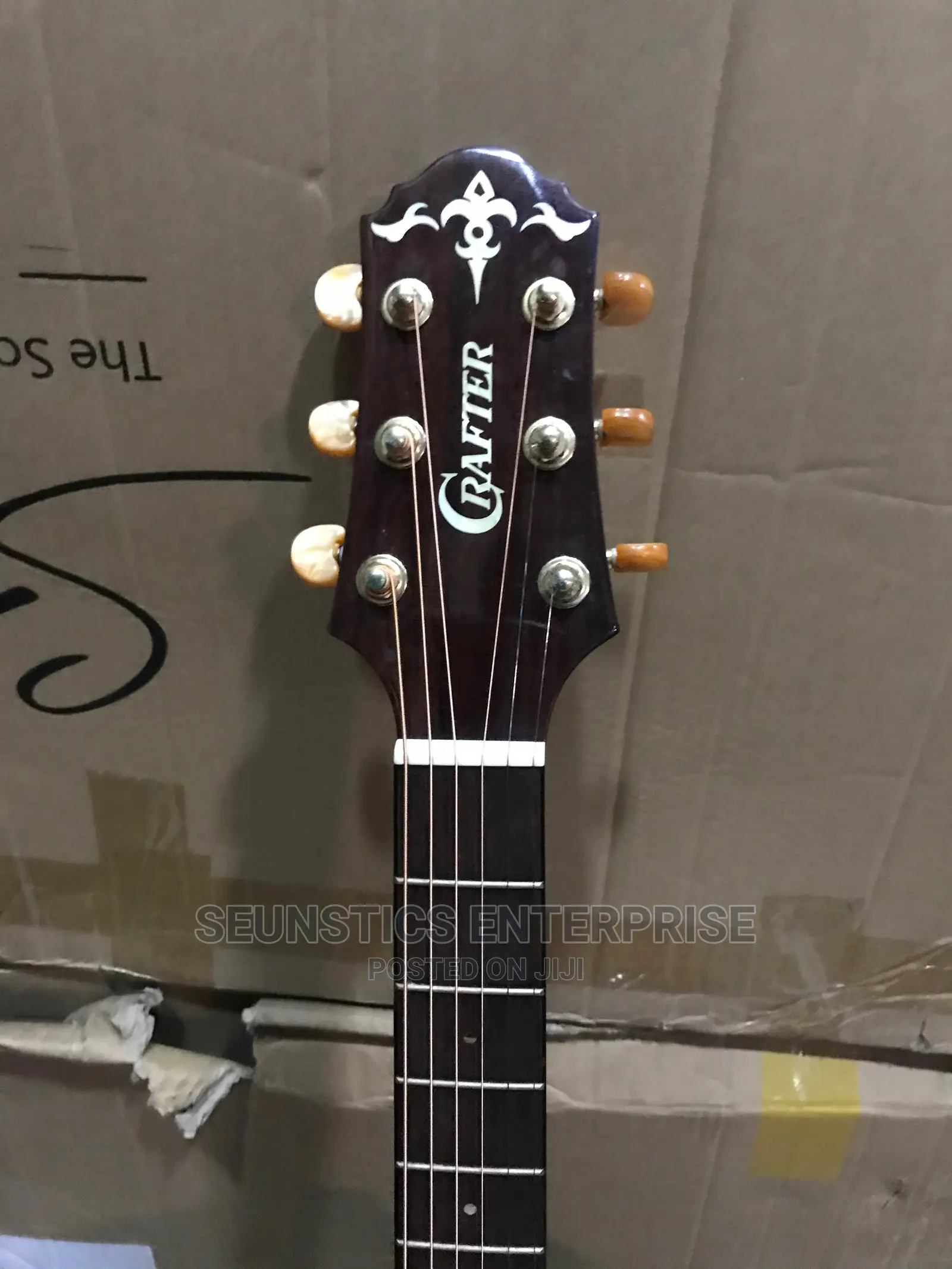 Professional Acoustic Guitar
