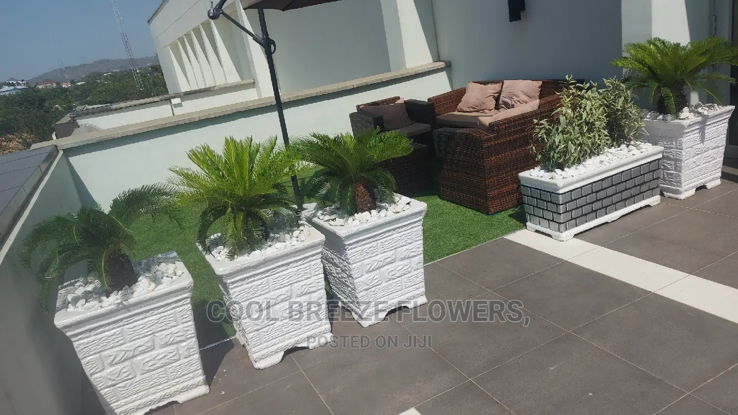 Airpurifying Flowers Pot's