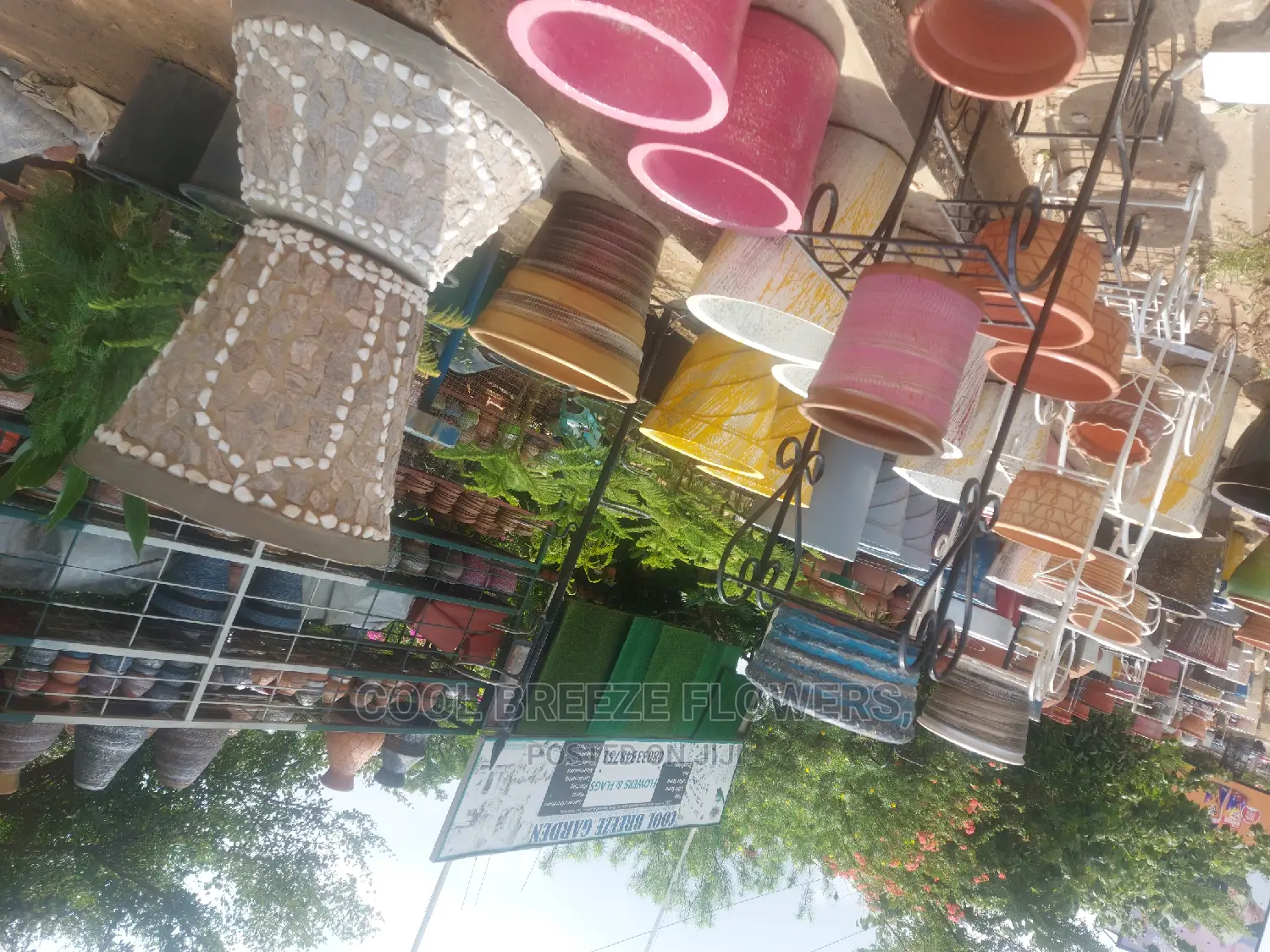 Airpurifying Flowers Pot's
