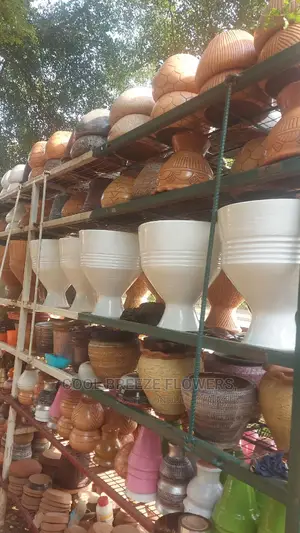 Airpurifying Flowers Pot's