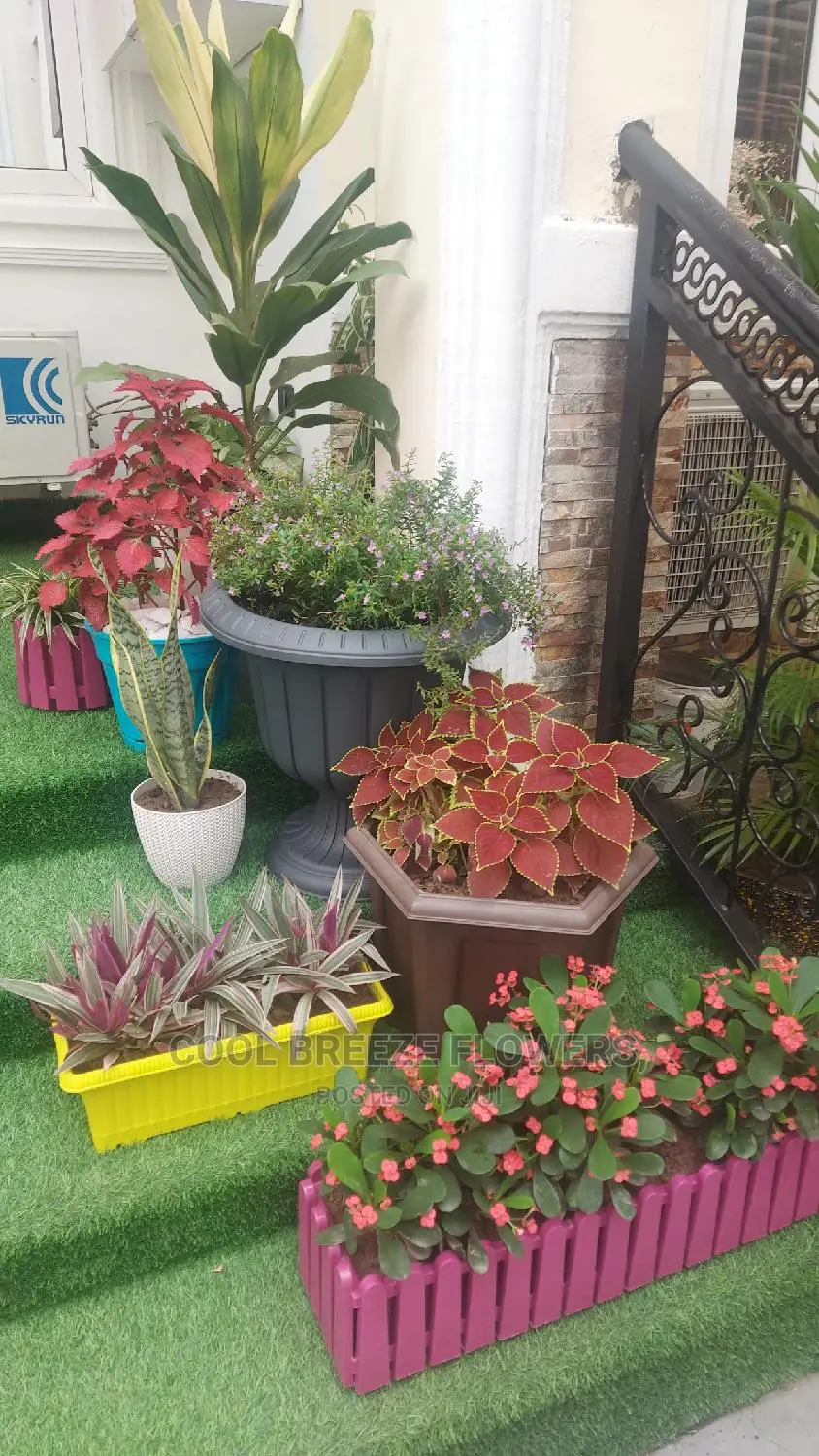 Airpurifying Flowers Pot's