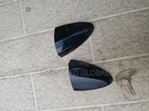 Is250 Door Key Cover
