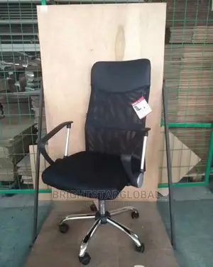 Ergonomic Office Chair (Strong Workerschair)