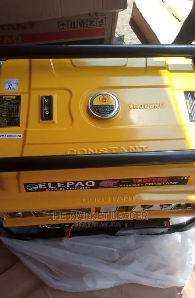 Elepaq 11kva Original Constant Generator Sv22000e2