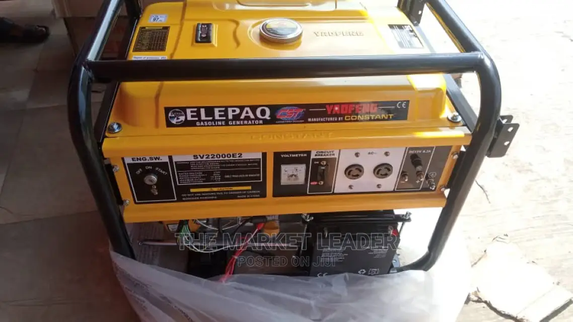 Elepaq 11kva Original Constant Generator Sv22000e2