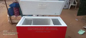 Siemens 300litre Deep Freezer For Frozen Food