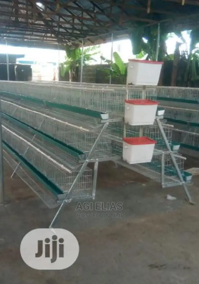 Layers Battery Cage