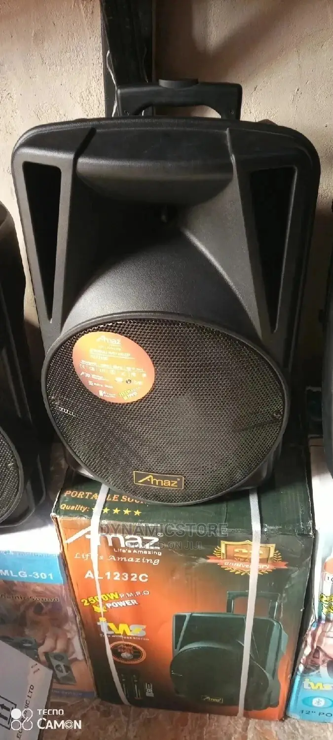 Amaz Public -Address System 12" Rechargeable