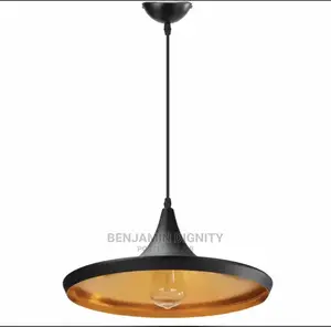 Designer Drop Pendant Light