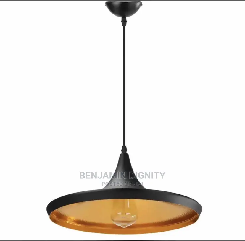 Designer Drop Pendant Light