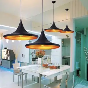 Designer Drop Pendant Light