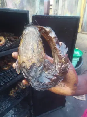 Oven Dried Catfish(1kg)