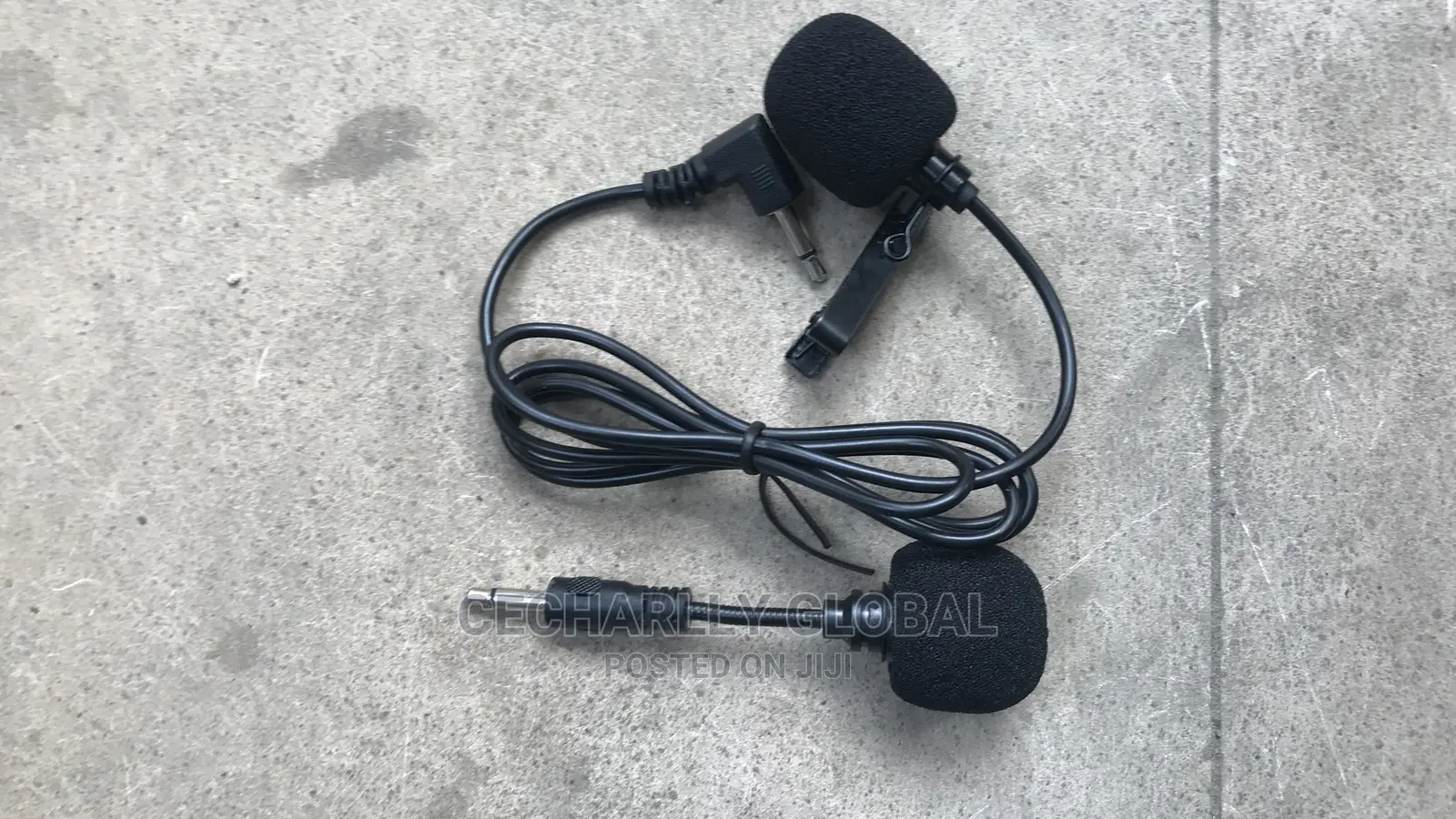 Professional Wireless Microphone