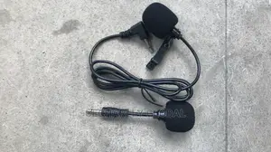 Professional Wireless Microphone