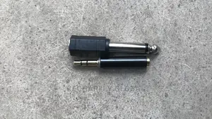 Professional Wireless Microphone
