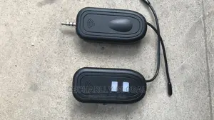 Professional Wireless Microphone