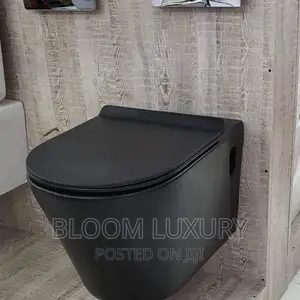 Black Conceal Toilet