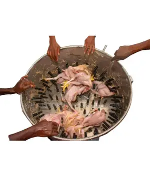 10-15 Chicken Capacity Industrial Chicken Plucker/Defeather