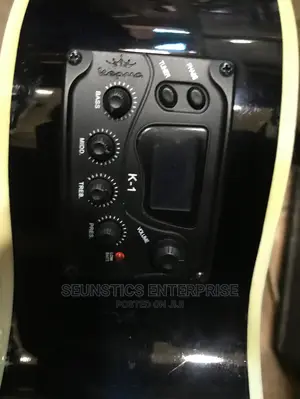 Kepma Electro-Acoustic Guitar