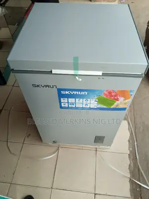 Skyrun Deep Freezer Bd90a