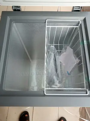 Skyrun Deep Freezer Bd90a