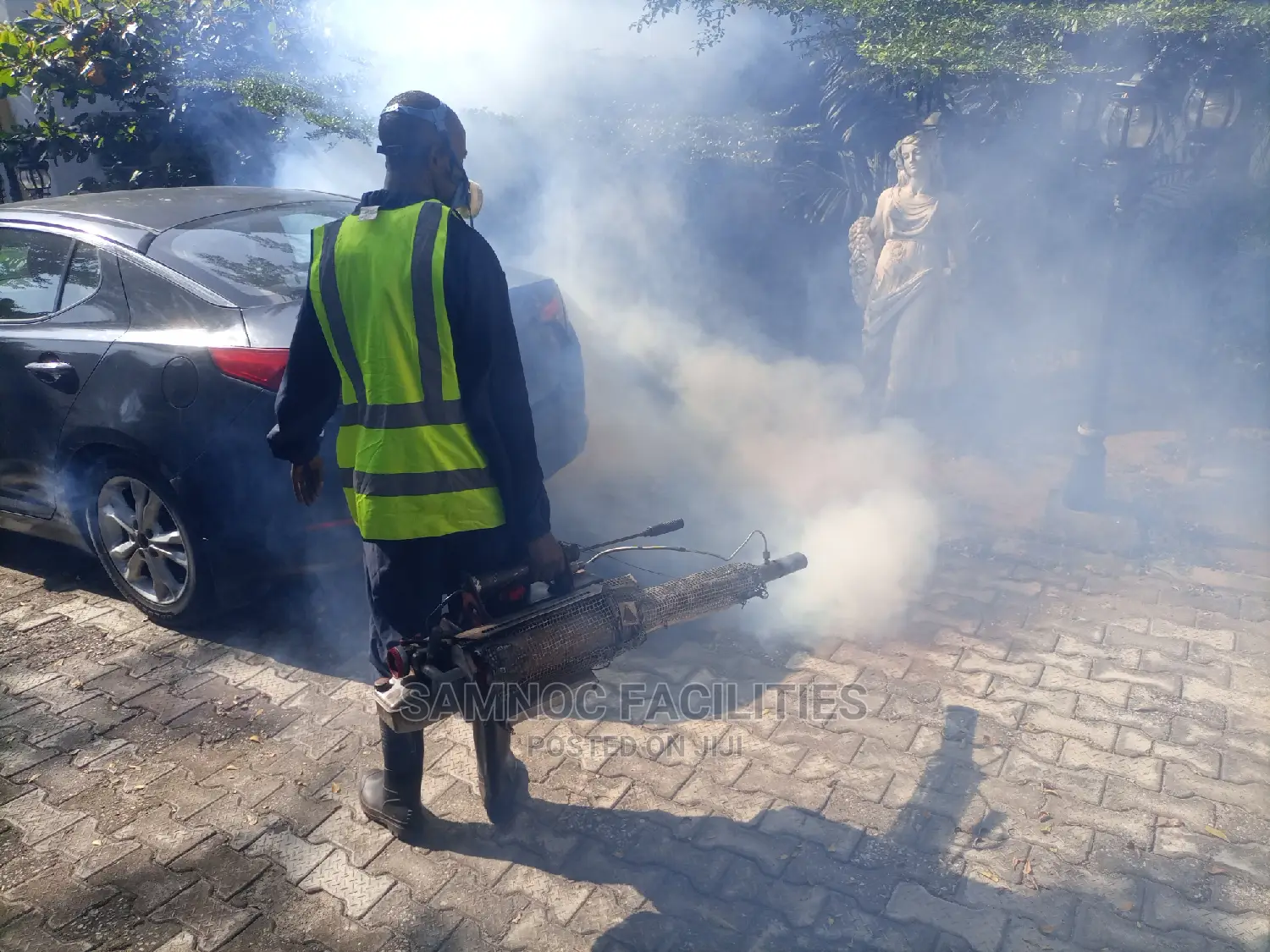 Fumigation and Pest Control Services Q