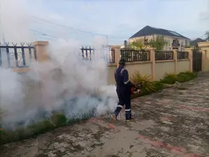 Fumigation Process