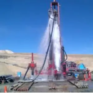 Borehole Drilling and Geophysical Survey