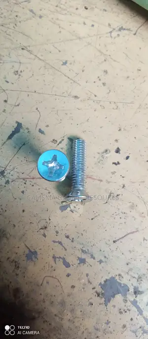Screw Bolt and Nut