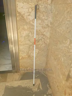 Unique Design Top Selling Walking Cane