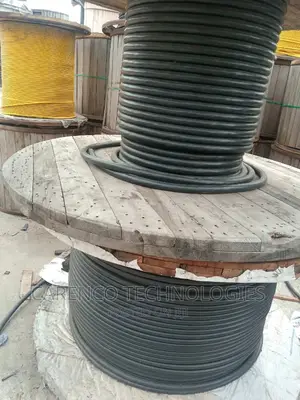 300mm 1core Single Non Armoured Cable ( PVC PVC Wire)