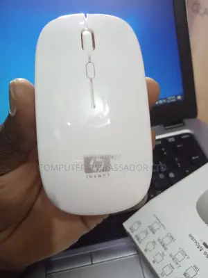 Rechargeable Bluetooth and Wireless Mouse