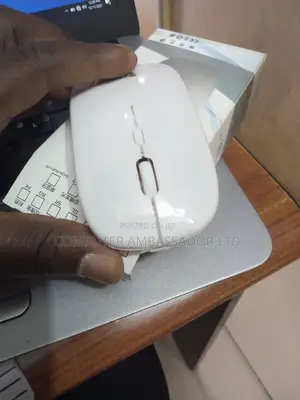 Rechargeable Bluetooth and Wireless Mouse