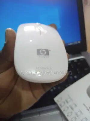 Rechargeable Bluetooth and Wireless Mouse