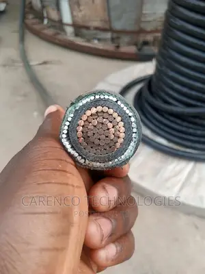 300mm 1core PVC Pure Copper Cable With Earth ( Armoured)