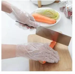 100pcs Clear Nylon Disposable Gloves