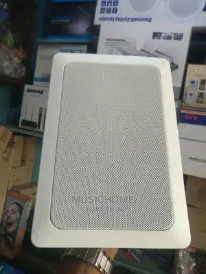 In-Ceiling/in-Wall Speakers.