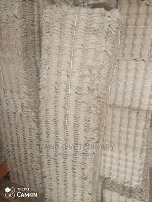Quality Paper Egg Crate Tray Pack of 100pcs
