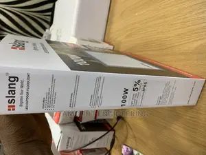 Flood Light 100w Slang