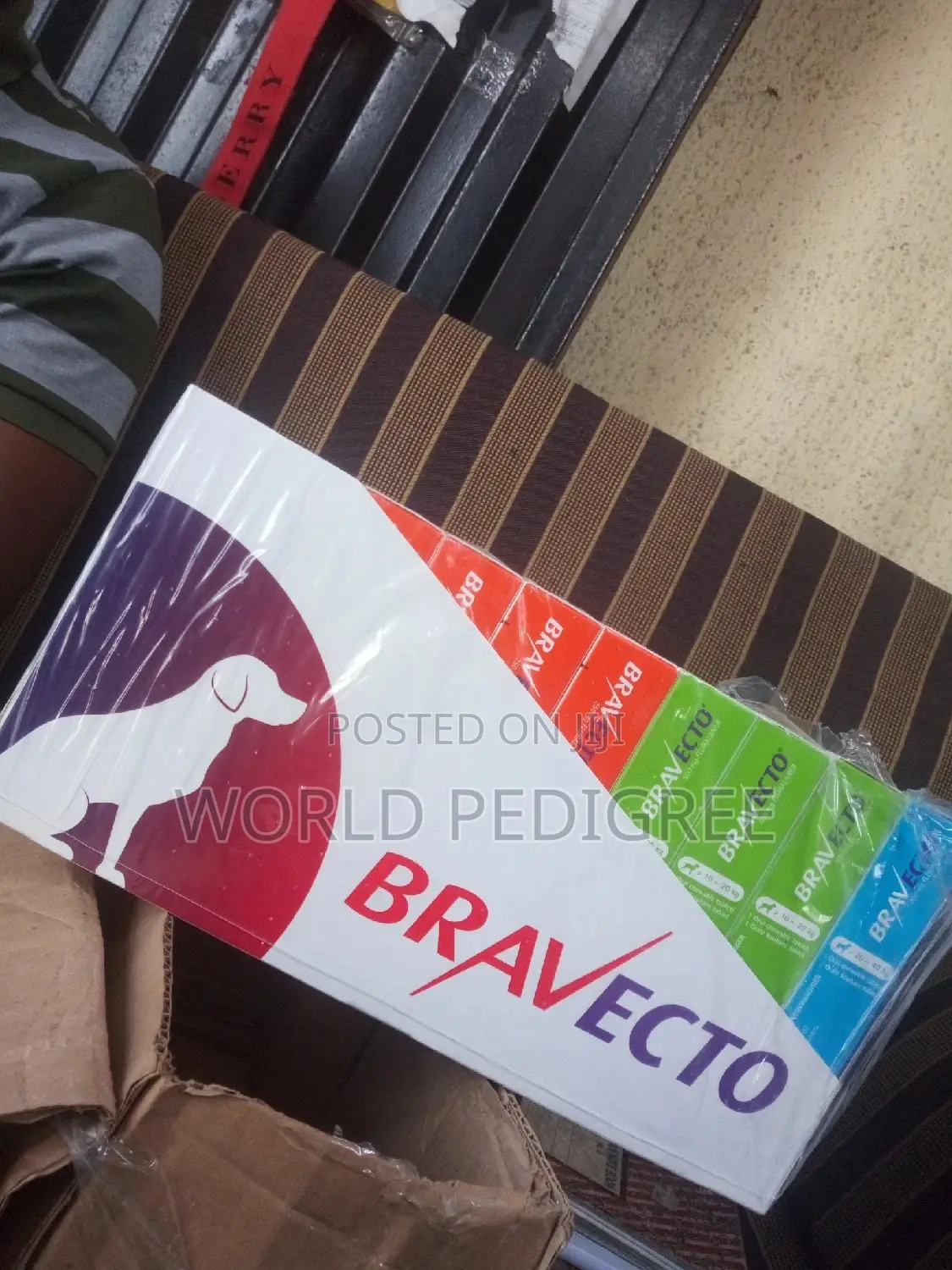 Bravecto Chew.