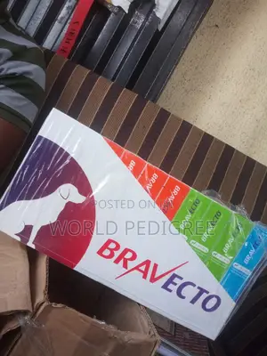 Bravecto Chew.
