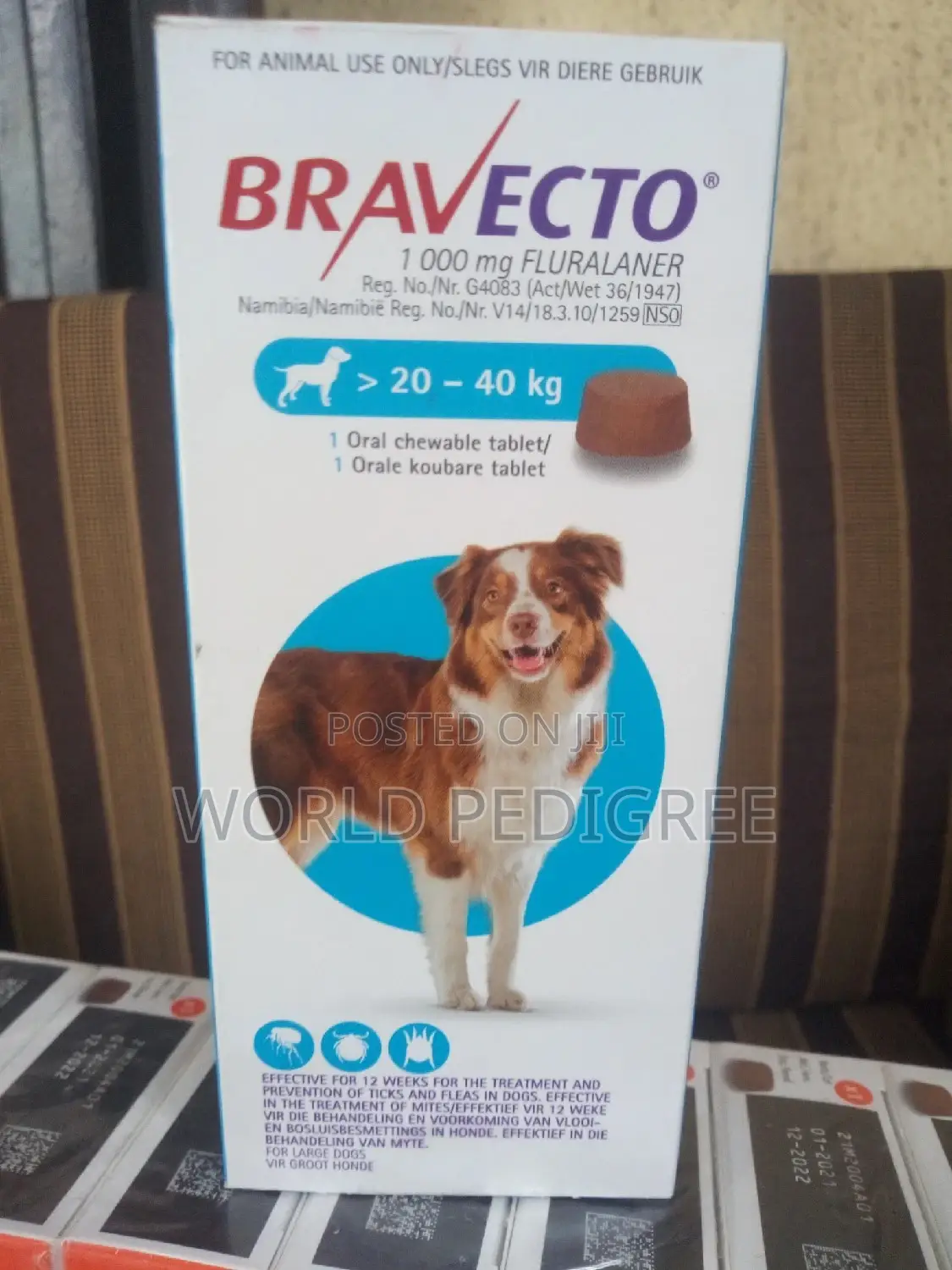 Bravecto Chew.
