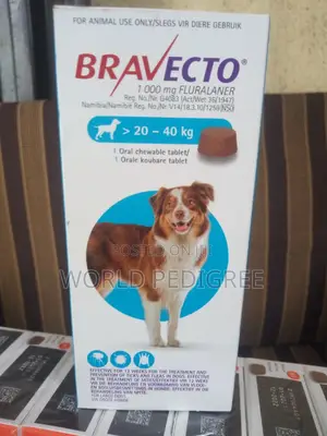Bravecto Chew.